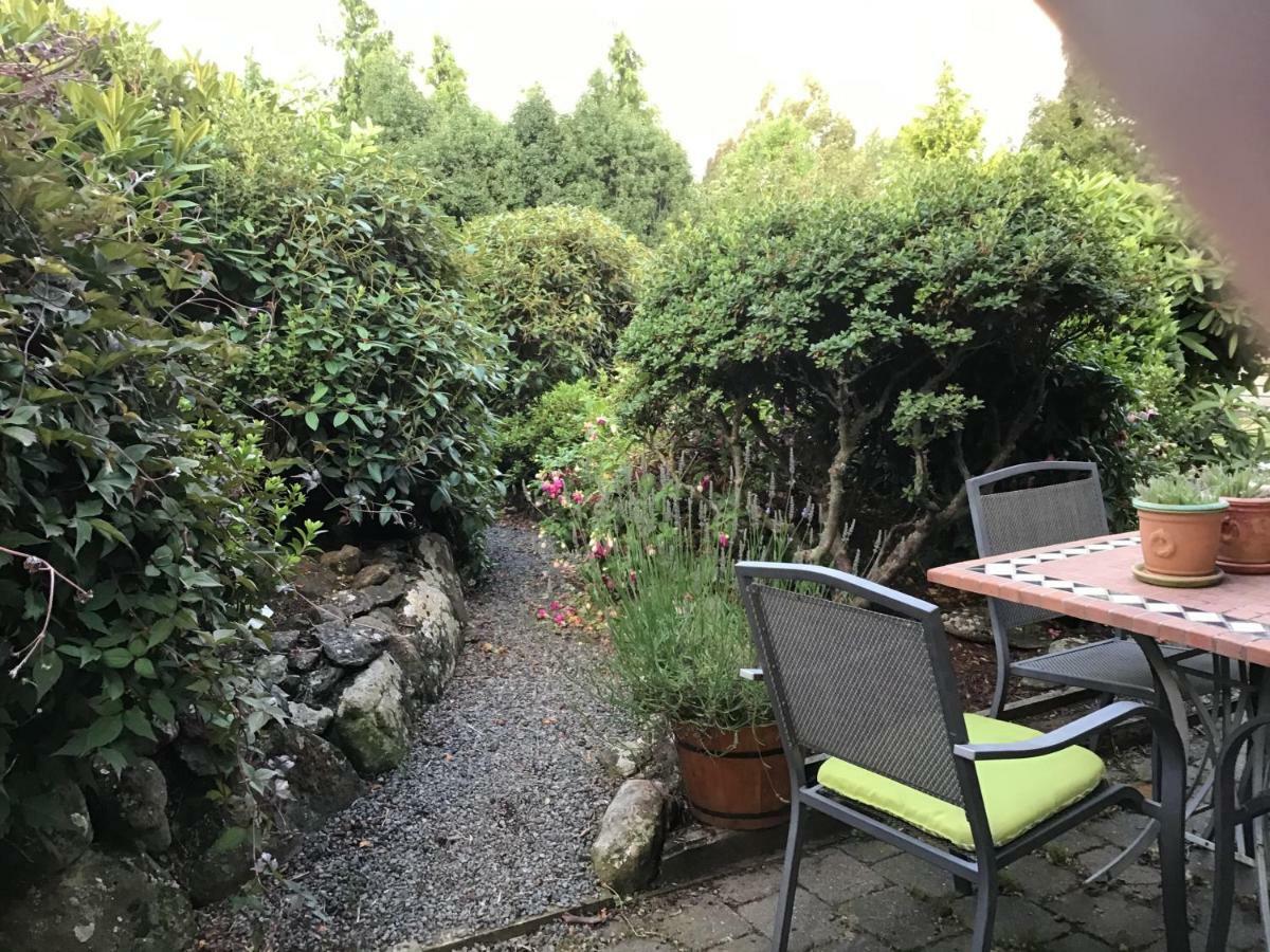 Self Contained And Private Room Dunedin Exterior photo
